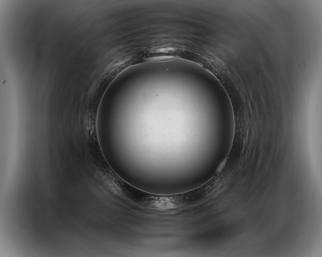 X0000087310091200704201218