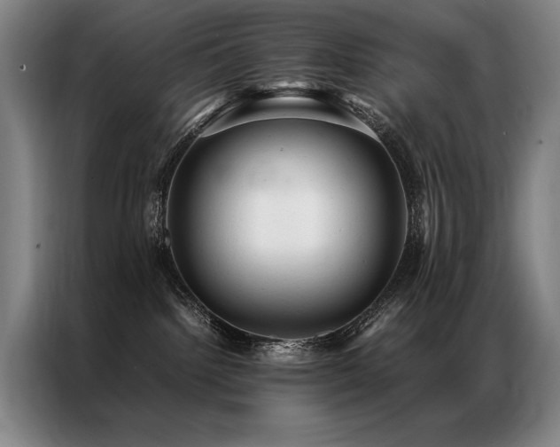 X0000087310092200704201218