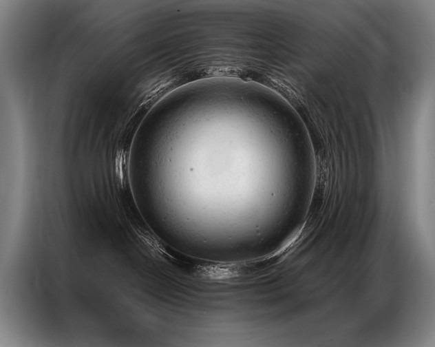 X0000087310094200704201218
