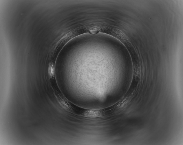 X0000087310095200704201218