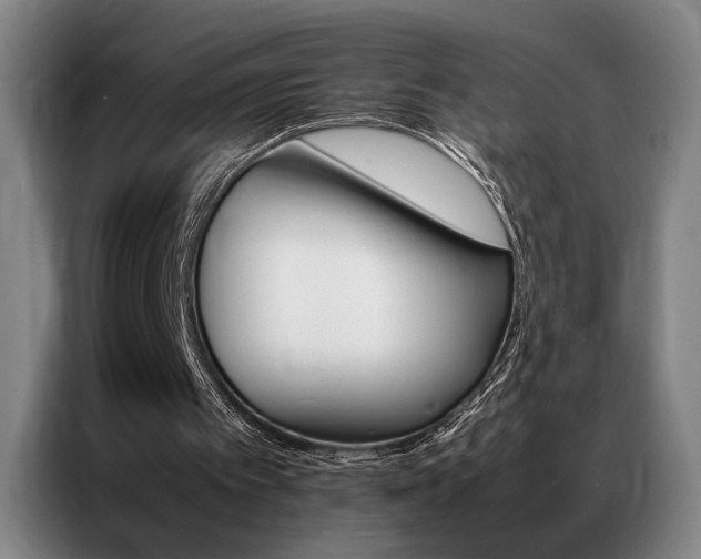 X0000087310097200704201217