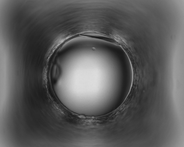X0000087310098200704201217