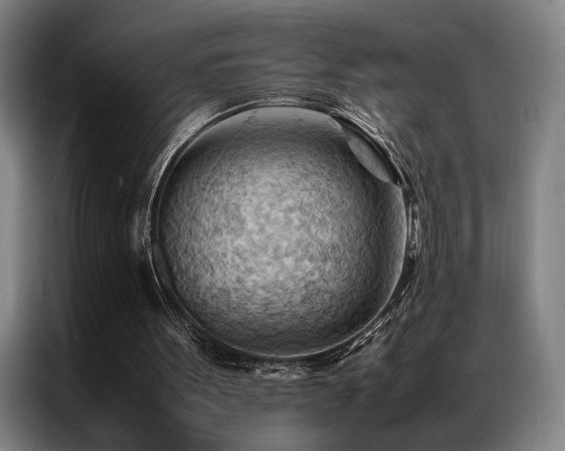 X0000087310099200704201217