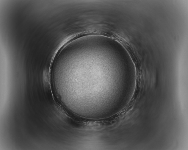 X0000087310100200704201217