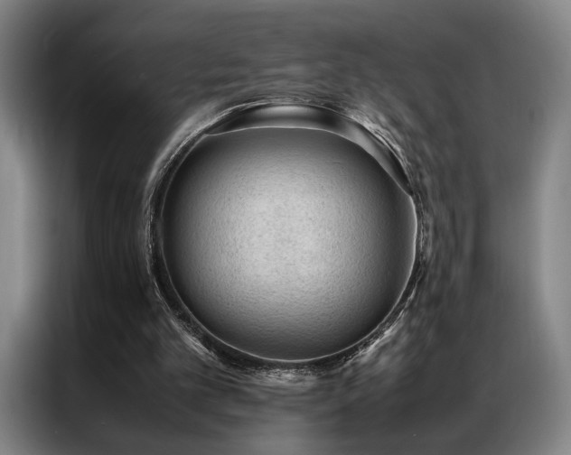 X0000087310101200704201217
