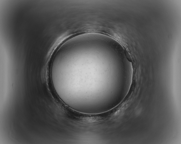 X0000087310103200704201217