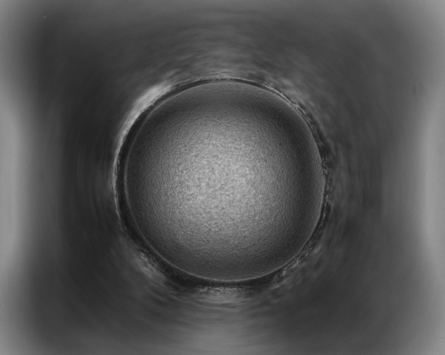 X0000087310104200704201217