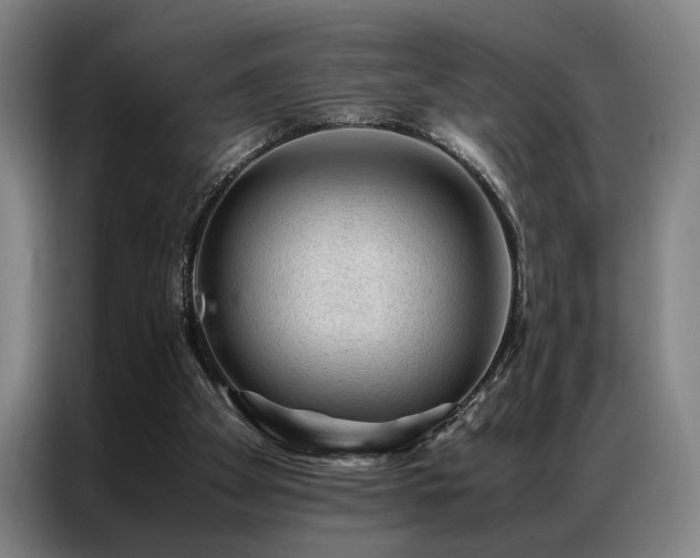 X0000087310105200704201217