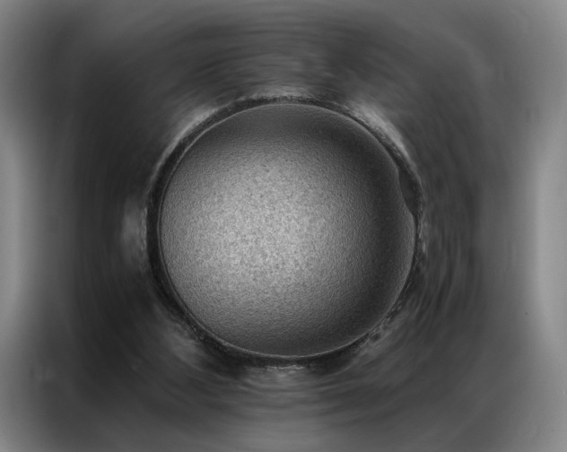 X0000087310108200704201217