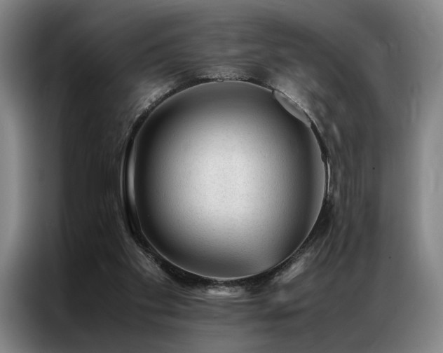 X0000087310109200704201217