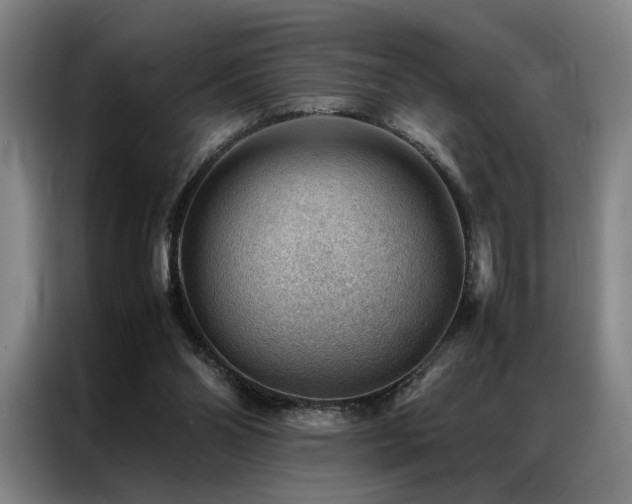 X0000087310110200704201217