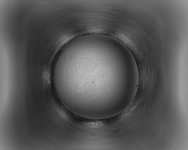 X0000087310112200704201217