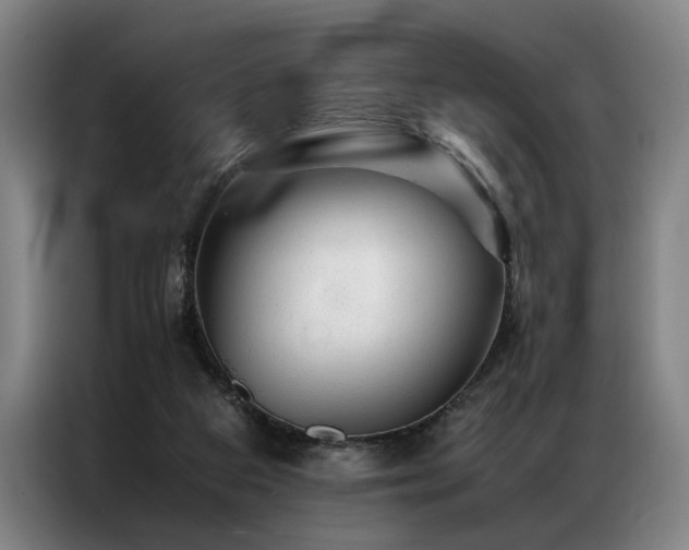 X0000087310113200704201217