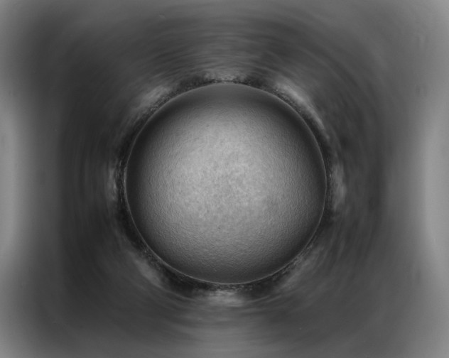 X0000087310114200704201217