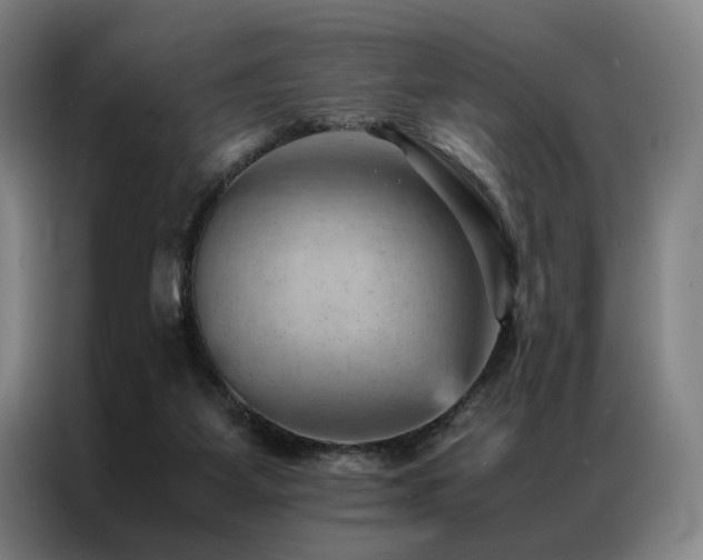 X0000087310115200704201217