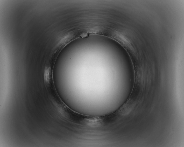 X0000087310118200704201217