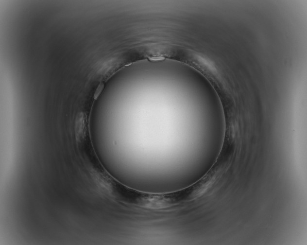 X0000087310121200704201217