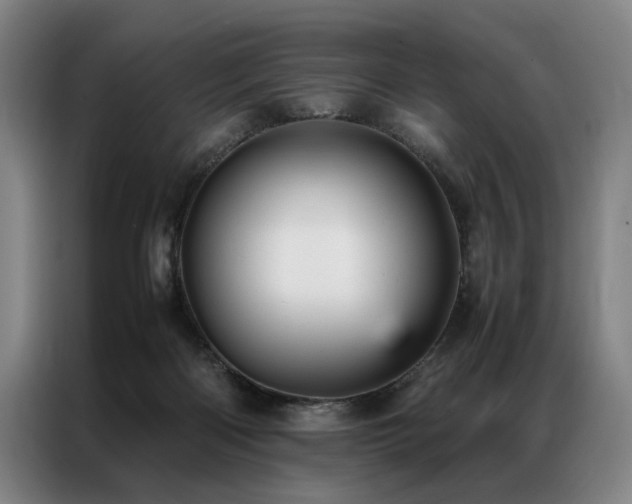 X0000087310122200704201217
