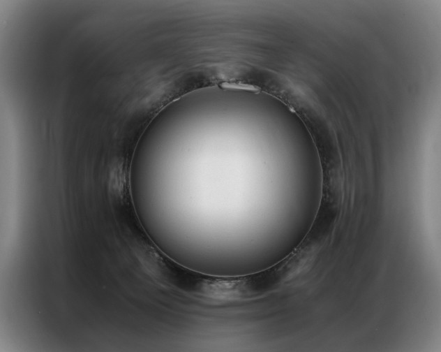 X0000087310129200704201217