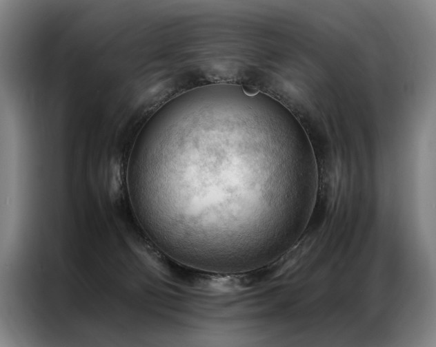 X0000087310130200704201217