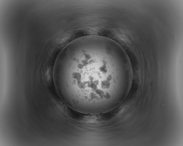 X0000087310131200704201217