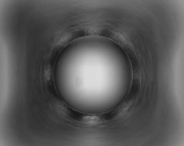X0000087310133200704201217