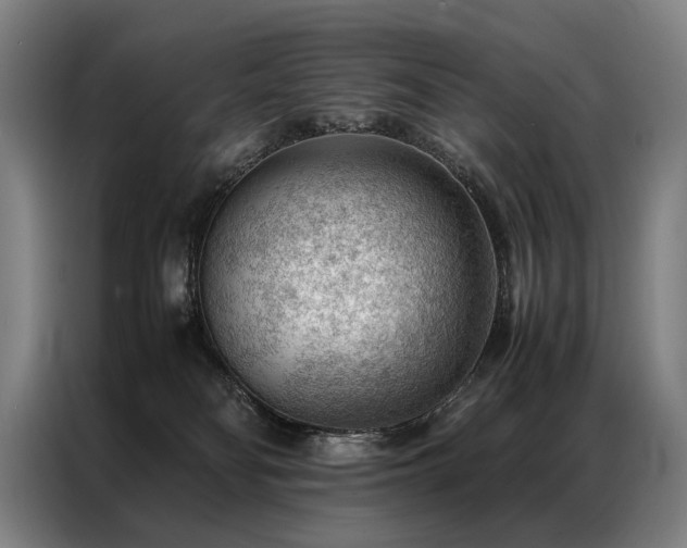 X0000087310134200704201217