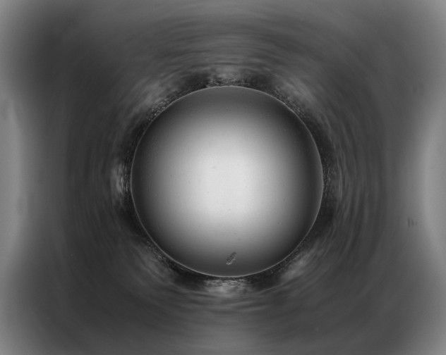 X0000087310135200704201217