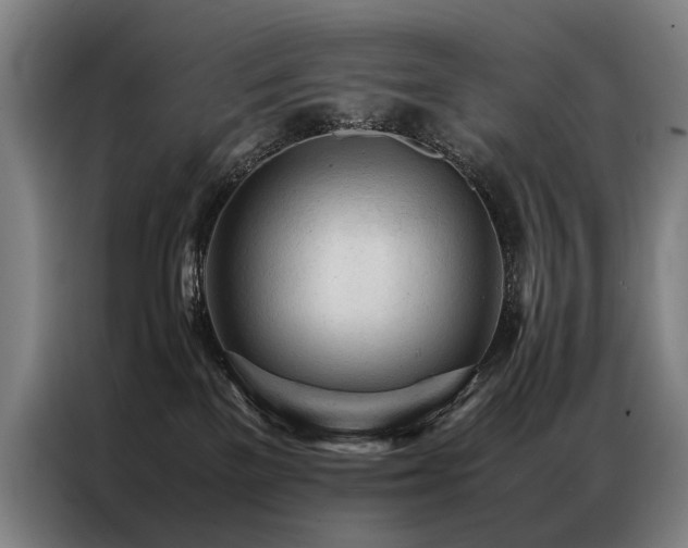 X0000087310137200704201217