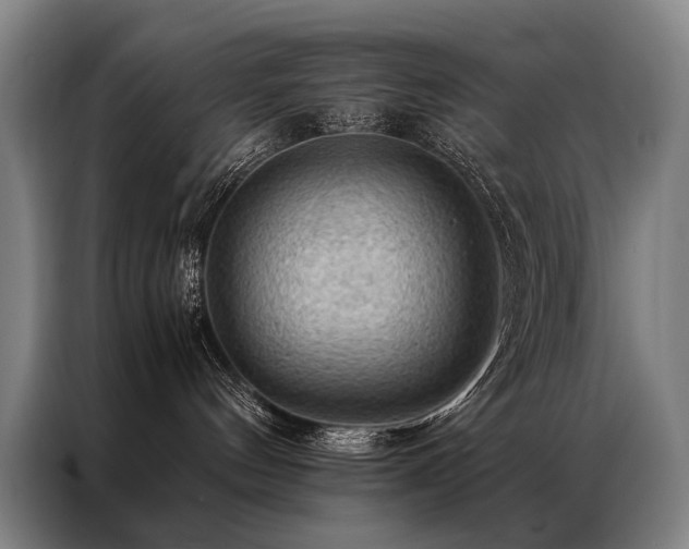 X0000087310144200704201217