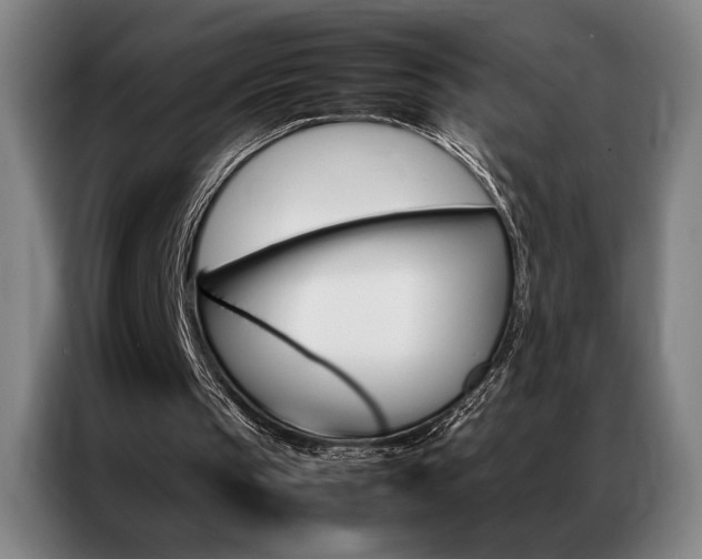 X0000087310145200704201216