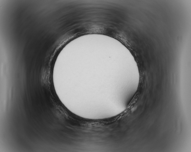 X0000087310146200704201216