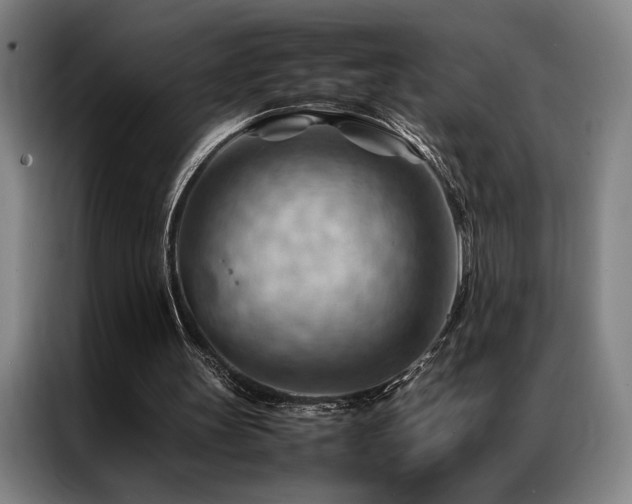 X0000087310147200704201216