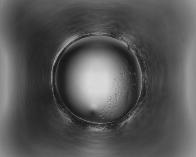 X0000087310148200704201216
