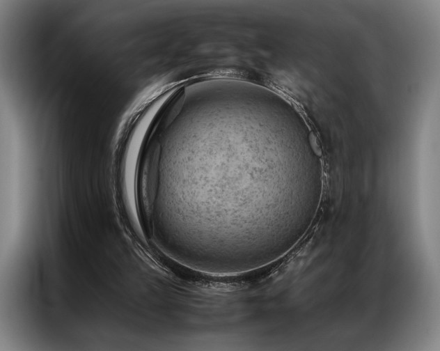 X0000087310149200704201216