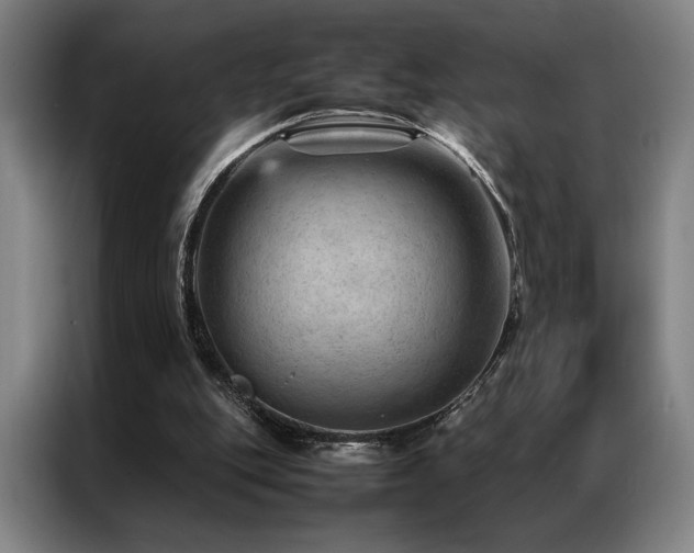 X0000087310151200704201216