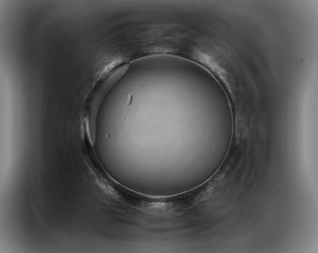 X0000087310153200704201216