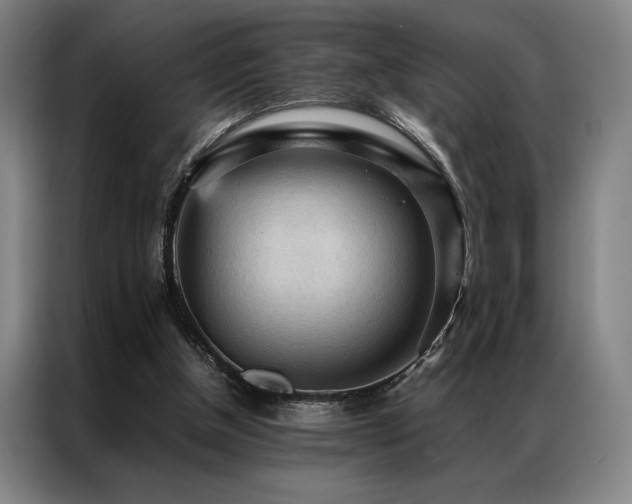 X0000087310154200704201216