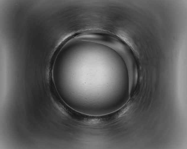 X0000087310156200704201216