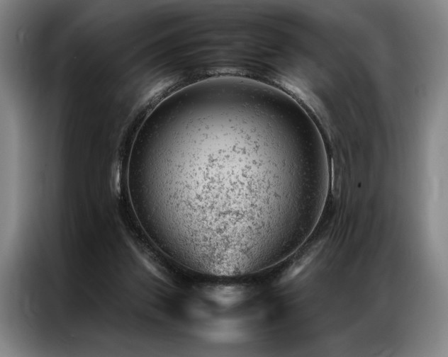 X0000087310157200704201216