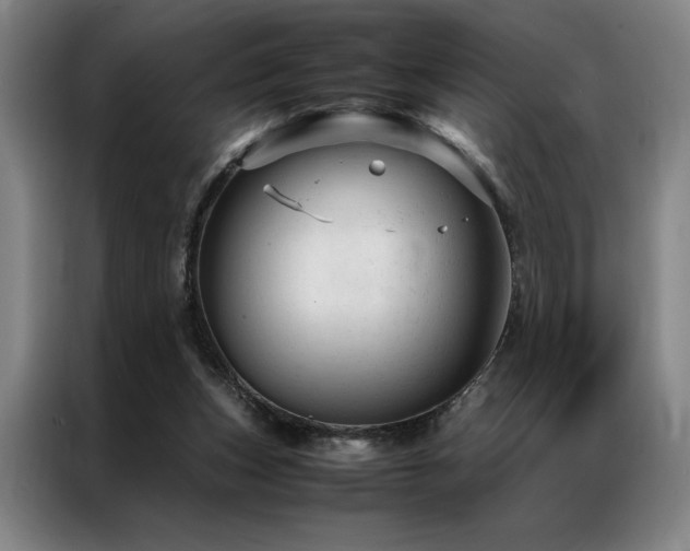 X0000087310159200704201216