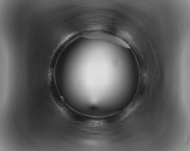 X0000087310160200704201216