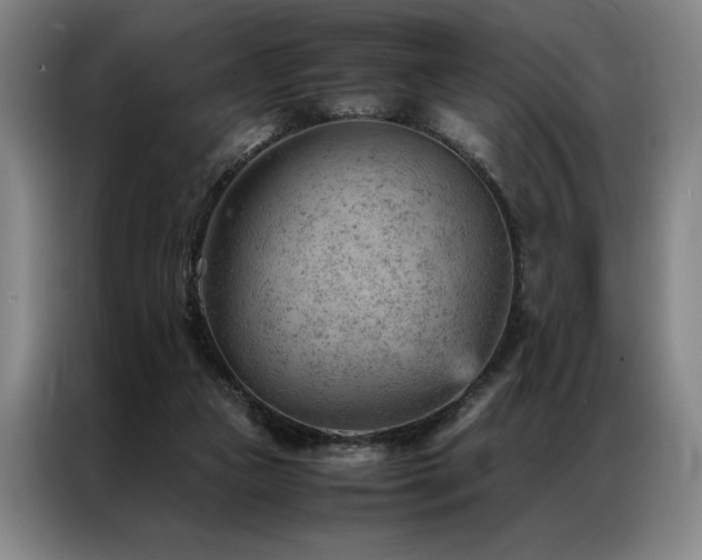 X0000087310161200704201216