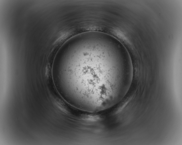 X0000087310165200704201216