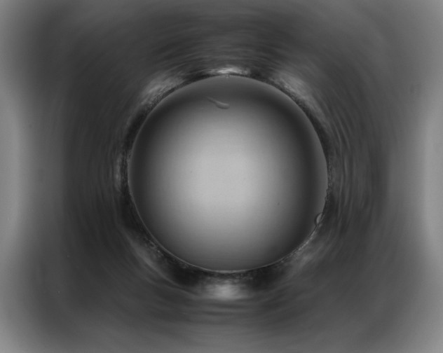 X0000087310167200704201216