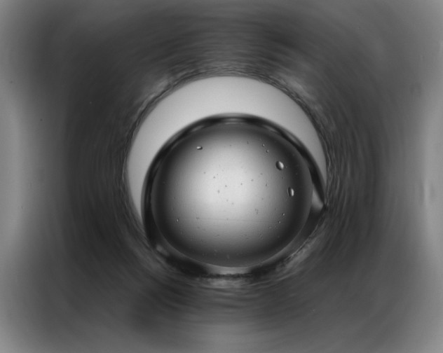X0000087310168200704201216