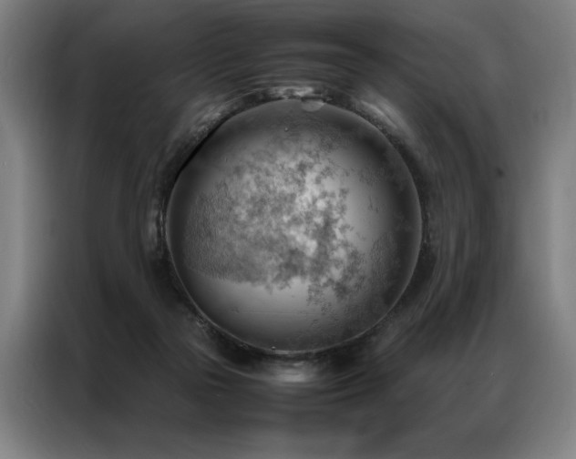 X0000087310169200704201216