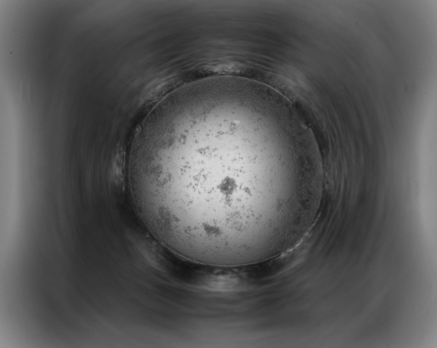 X0000087310175200704201216