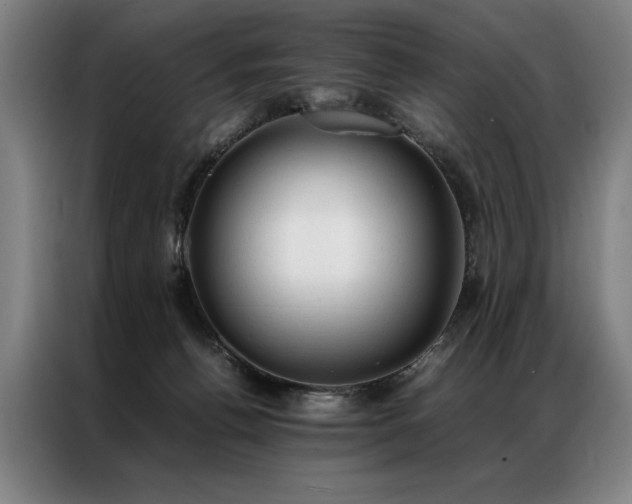 X0000087310176200704201216