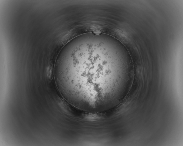 X0000087310177200704201216